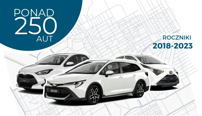 Image that represents car fleet from years 2018-2023 and over 250 pcs